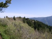 4.30.06 Hamilton Mountain 088 